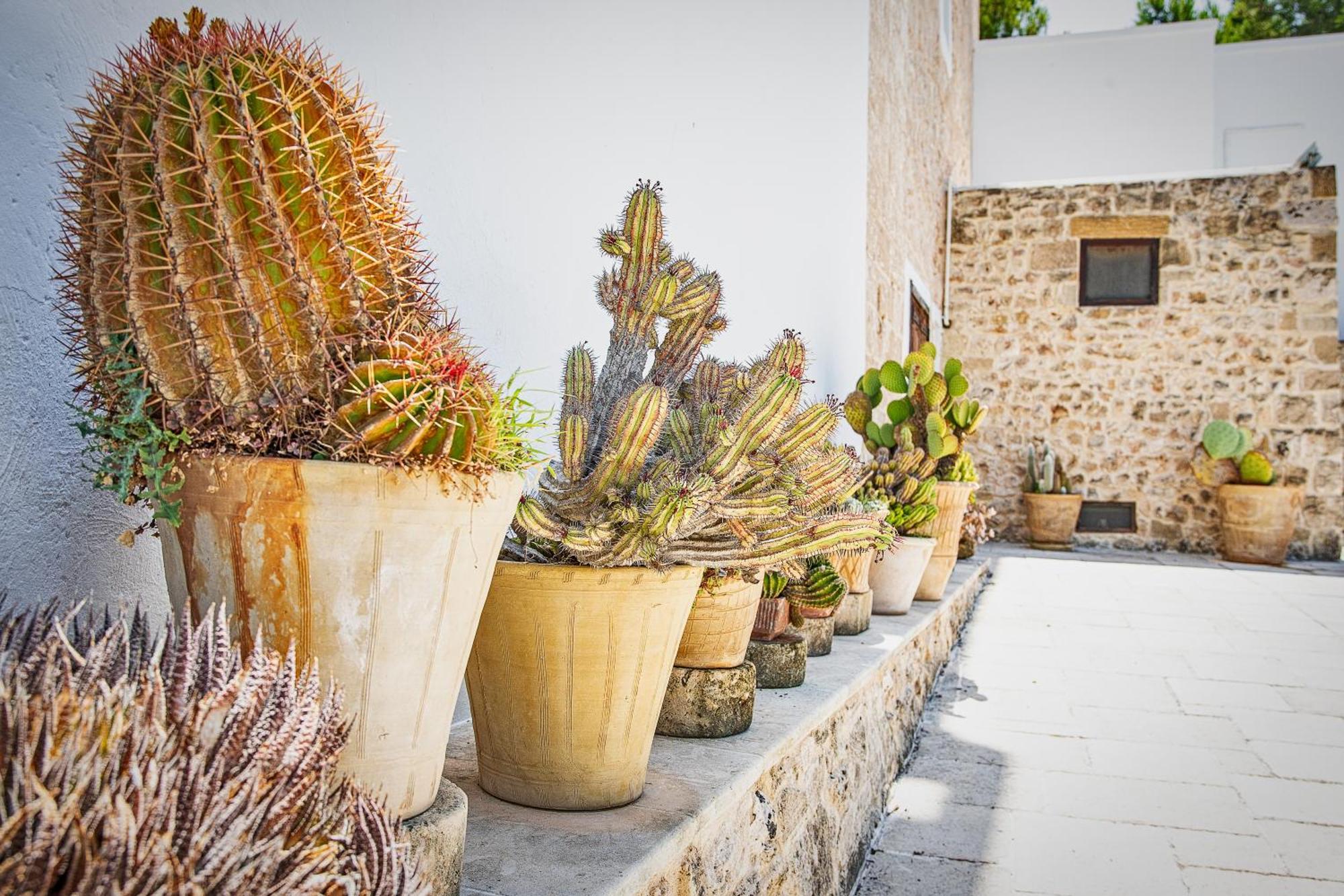Vila Torre Casciani Ugento Exteriér fotografie