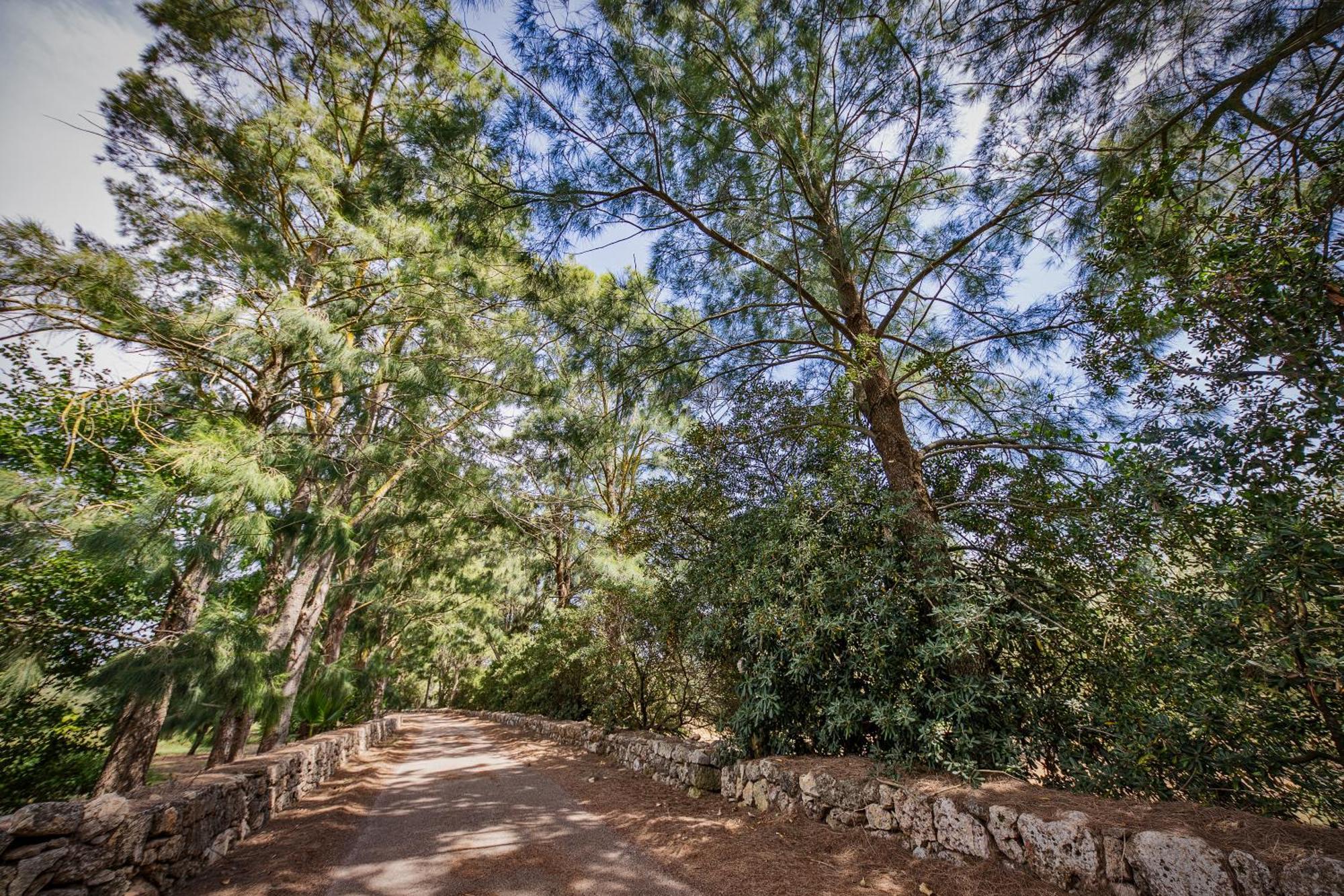 Vila Torre Casciani Ugento Exteriér fotografie