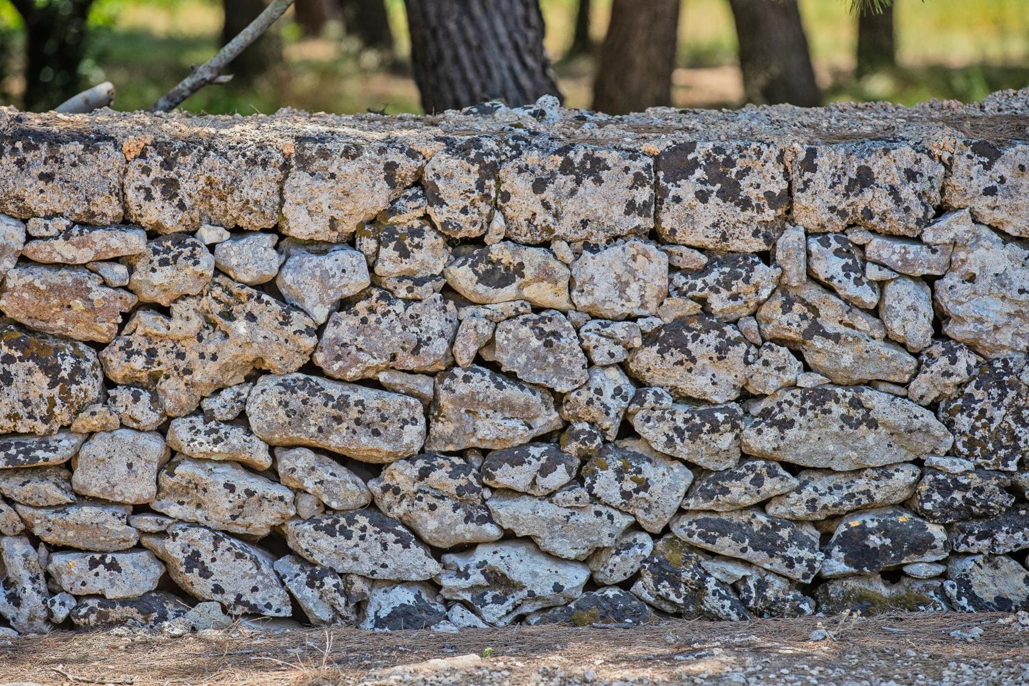 Vila Torre Casciani Ugento Exteriér fotografie